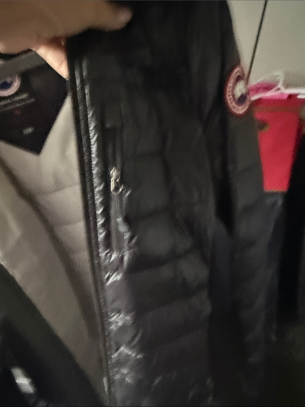 Canada Goose Black Quilted Hooded Puffer with Cream Lining - Picture 4 of 16